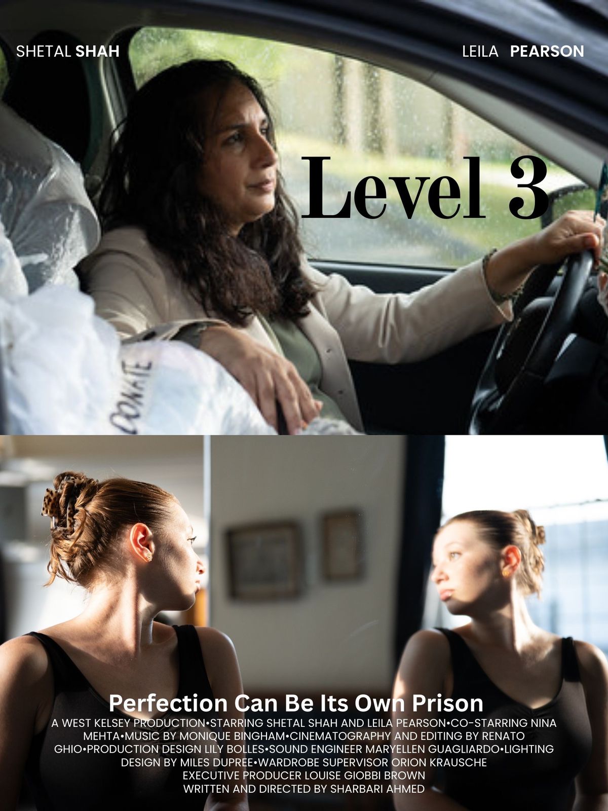 Level 3 poster